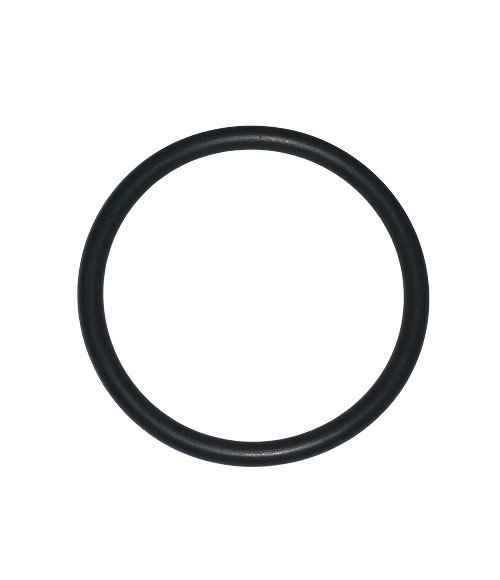  O-RING- LENZ- LARGE 32125 